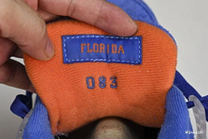 4  "Florida Jordan AJ4-904283 Gators" Air PE  1009